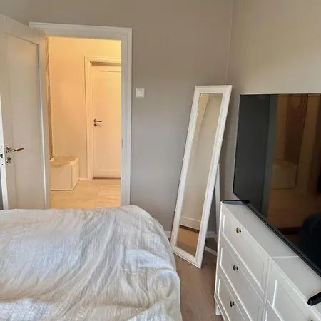Bright And Pretty Penthouse With Sunny Balcony Διαμέρισμα Όσλο